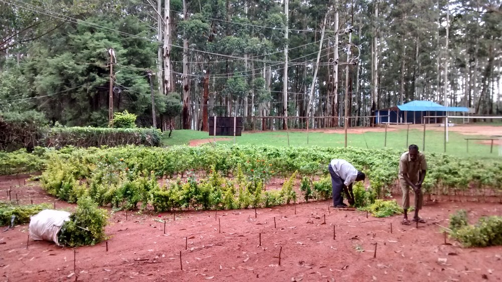 IMG_20170807_101535462_HDR