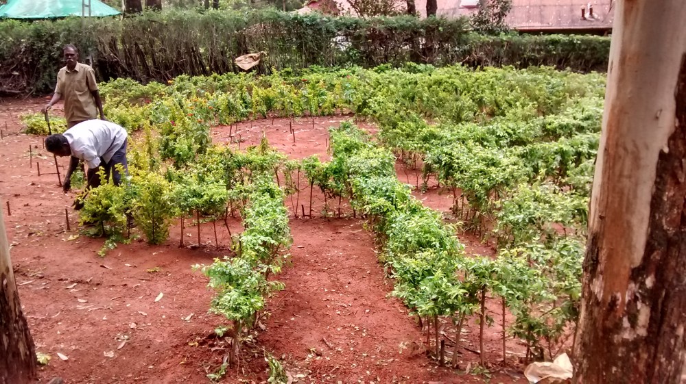 IMG_20170807_101658723_HDR