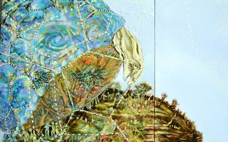 Tortoise-Nautilus-artwriting